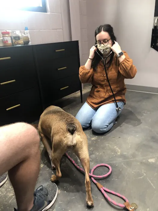 PAZ Veterinary North Picture 4