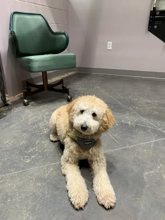 PAZ Veterinary North Picture 7