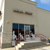 Allandale Veterinary Clinic ico
