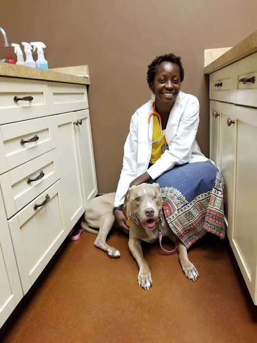 Allandale Veterinary Clinic Picture 8
