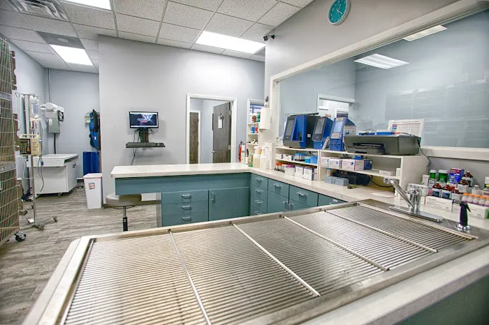 Crestview Veterinary Clinic Picture 5