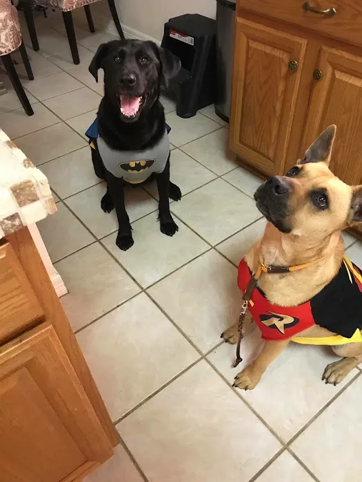 Northwest Veterinary Hospital Picture 1