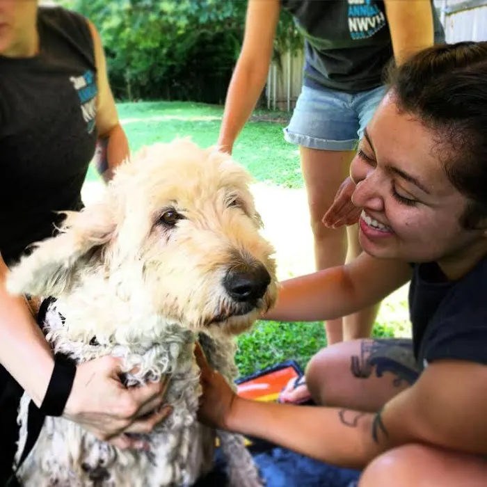 Northwest Veterinary Hospital Picture 3