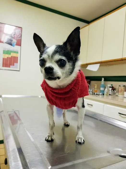 Northwest Veterinary Hospital Picture 5