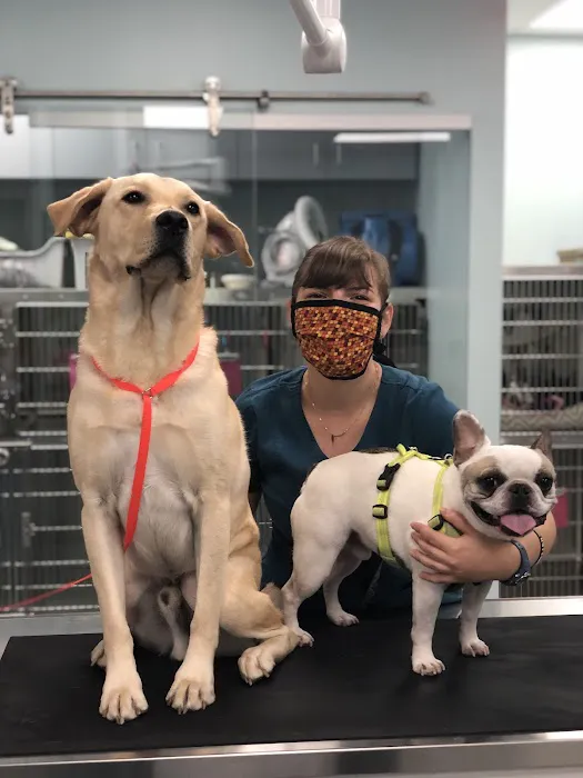 Far West Veterinary Clinic Picture 7
