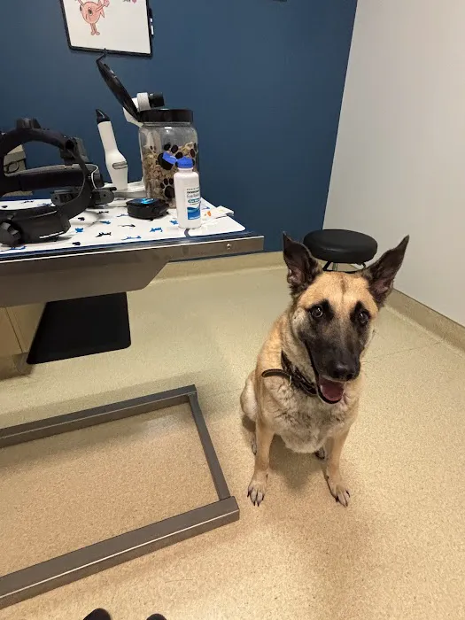 Eye Care for Animals - Far West Blvd Austin Picture 5