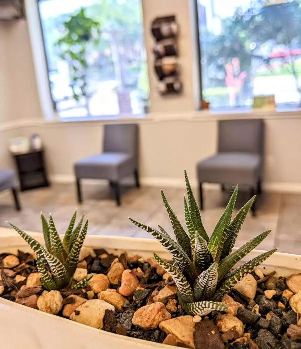 VCA Northwest Hills Animal Hospital Picture 5