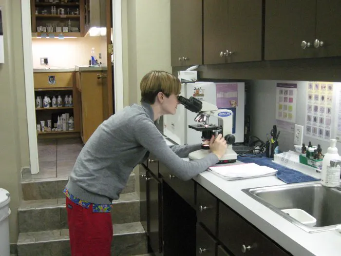 VCA Northwest Hills Animal Hospital Picture 10