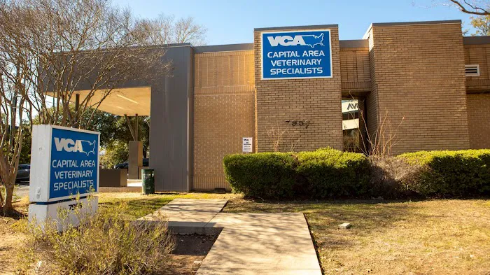 VCA Capital Area Veterinary Specialists Picture 3