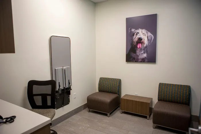 VCA Capital Area Veterinary Specialists Picture 7
