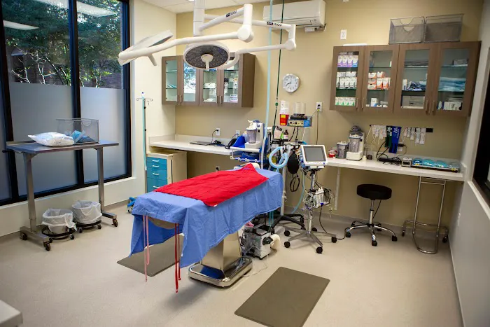VCA Capital Area Veterinary Specialists Picture 5