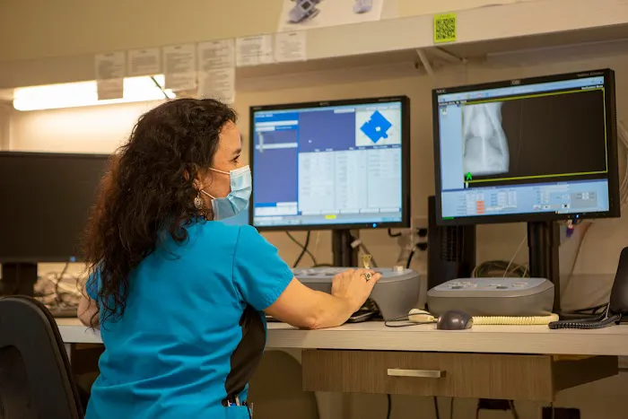 VCA Capital Area Veterinary Specialists Picture 9