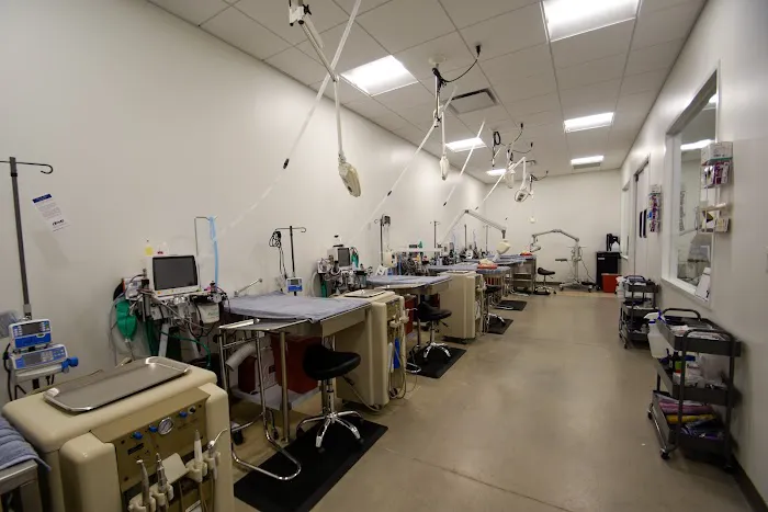 Emancipet Austin Dental and Surgical Center Picture 2