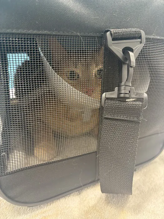 Emancipet Austin Dental and Surgical Center Picture 5