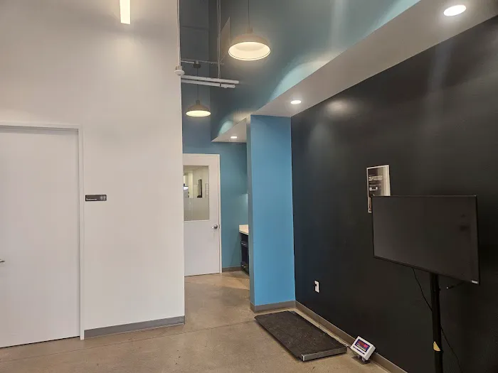 Emancipet Austin Dental and Surgical Center Picture 6