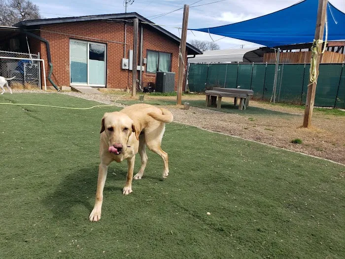Travis Country Veterinary Hospital Picture 5