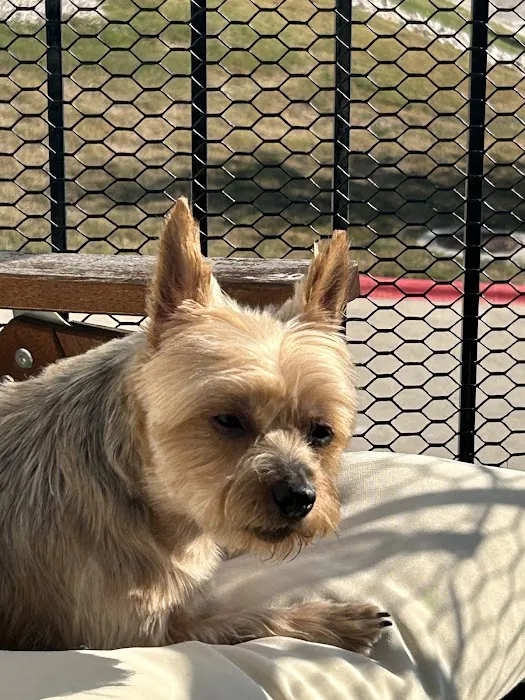 Travis Country Veterinary Hospital Picture 8