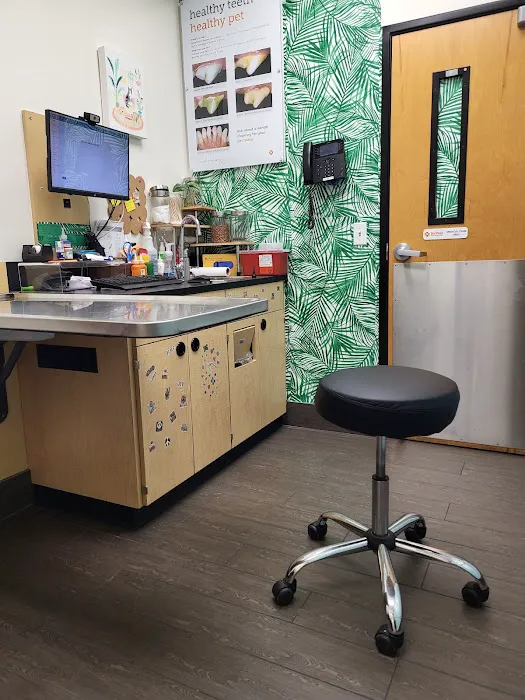 Banfield Pet Hospital Picture 6