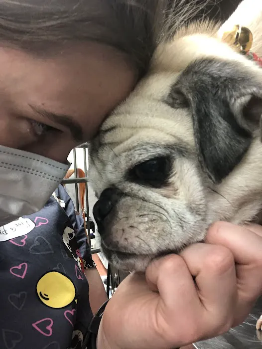 Banfield Pet Hospital Picture 7