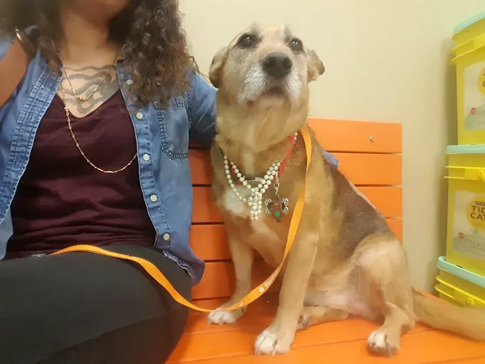 Banfield Pet Hospital Picture 5