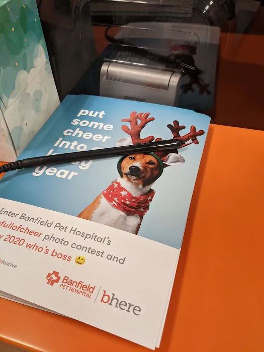 Banfield Pet Hospital Picture 10