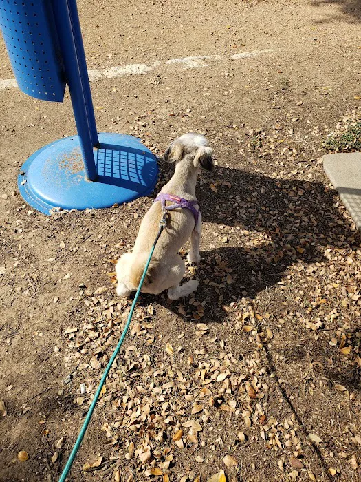 Banfield Pet Hospital Picture 8