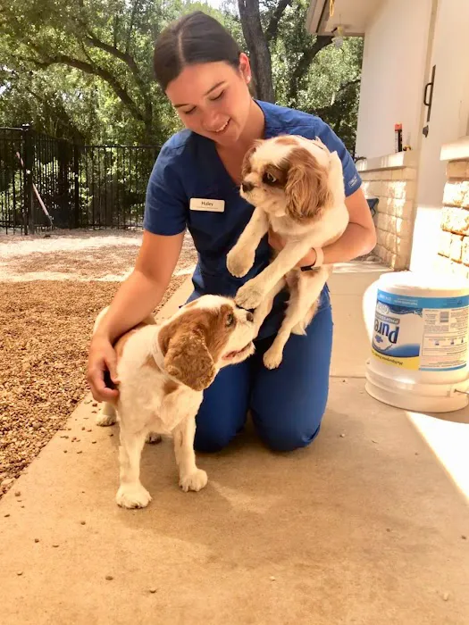 BEEVET Animal Hospital Picture 2