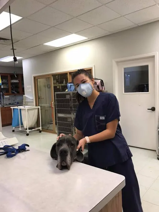 BEEVET Animal Hospital Picture 9