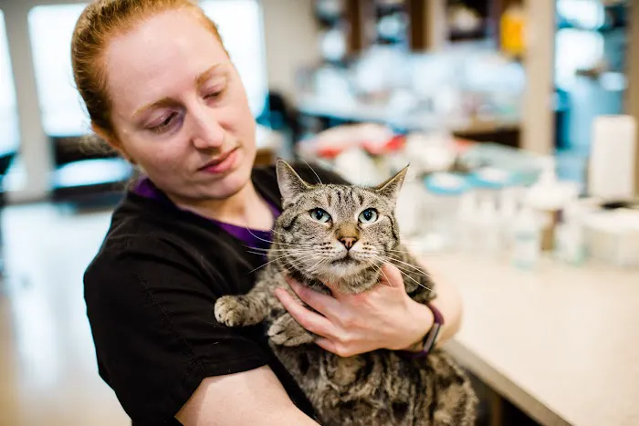ATX Animal Clinic Picture 3