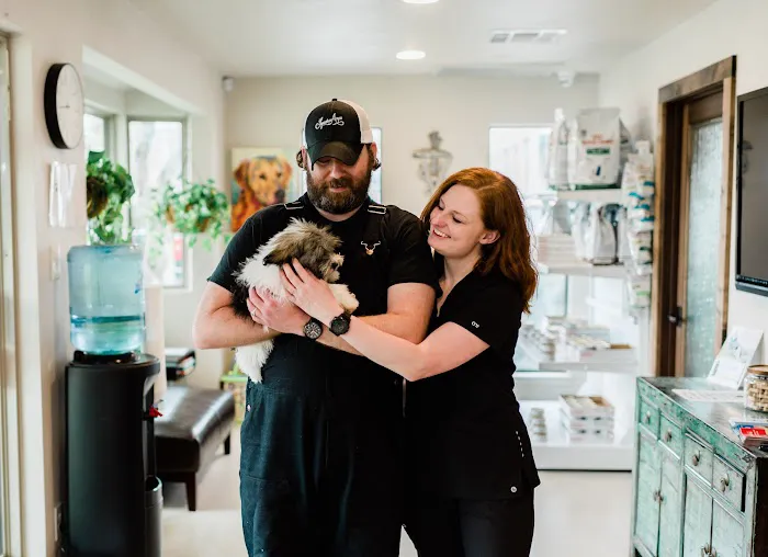 ATX Animal Clinic Picture 9