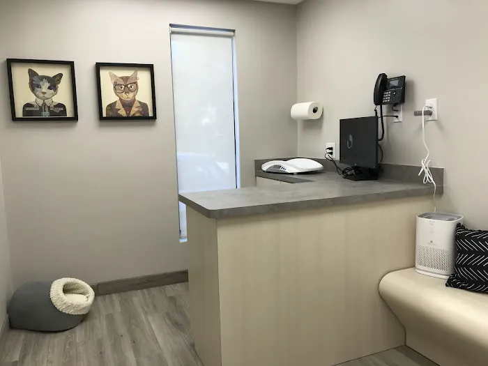 Spicewood Springs Cat Hospital Picture 2