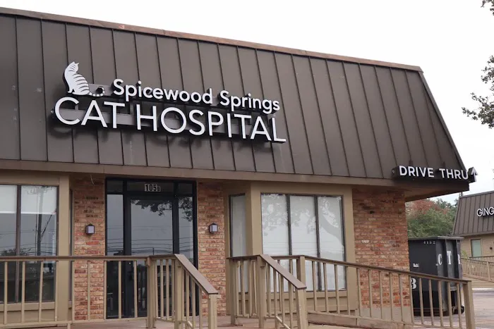 Spicewood Springs Cat Hospital Picture 7