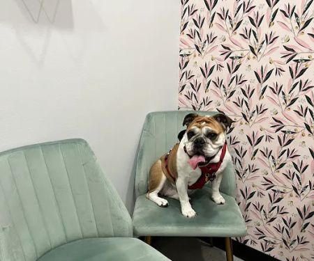 Roots Integrative Veterinary Care