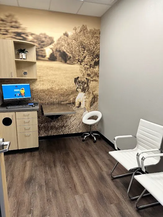 CityVet | South Austin Picture 3