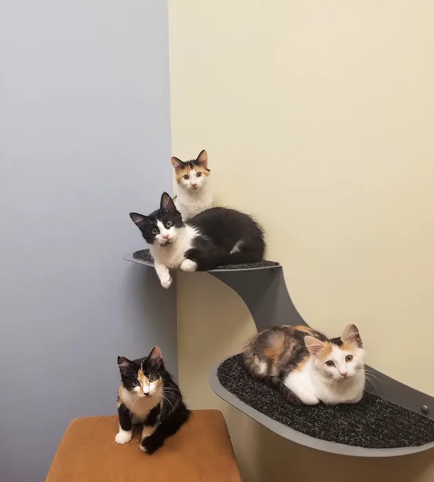 South Park Animal Hospital Picture 4