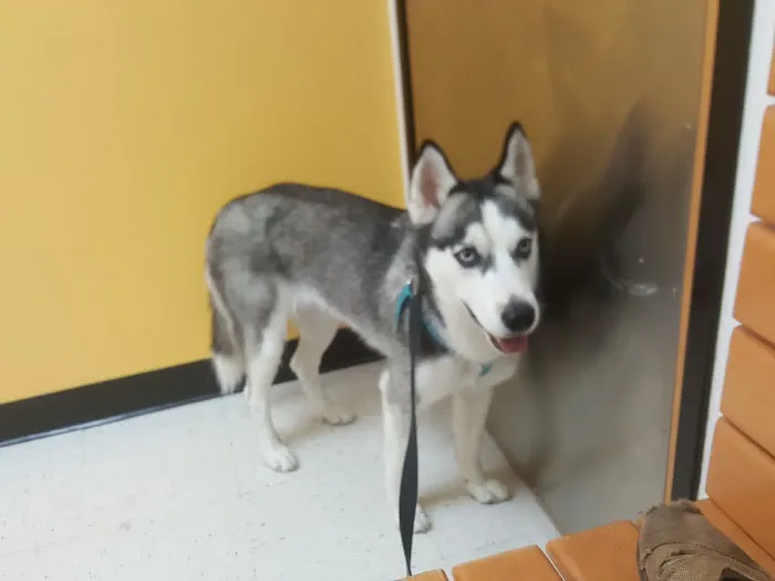 Banfield Pet Hospital Picture 2
