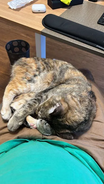 Banfield Pet Hospital Picture 8