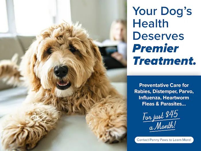 Penny Paws Animal Hospital - Arlington Picture 4