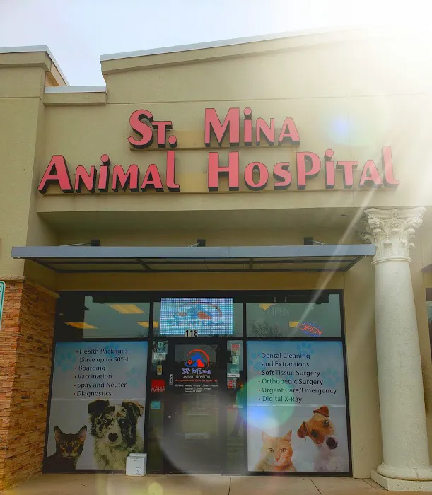 St. Mina Animal Hospital Picture 3