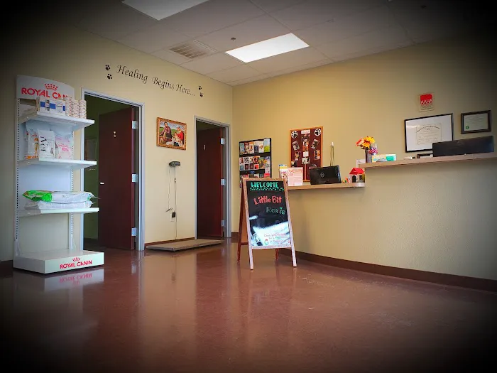 St. Mina Animal Hospital Picture 2