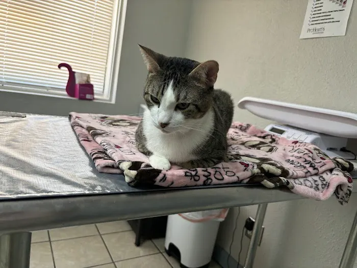 My Village Pet Clinic Picture 7