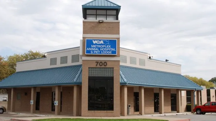 VCA Metroplex Animal Hospital & Pet Lodge Picture 3