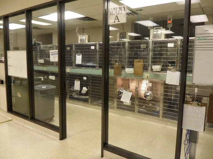 VCA Metroplex Animal Hospital & Pet Lodge Picture 6