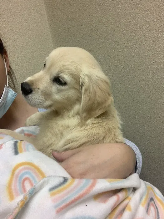 VCA Metroplex Animal Hospital & Pet Lodge Picture 9