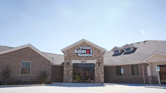 O'Connor Animal Hospital Picture 3