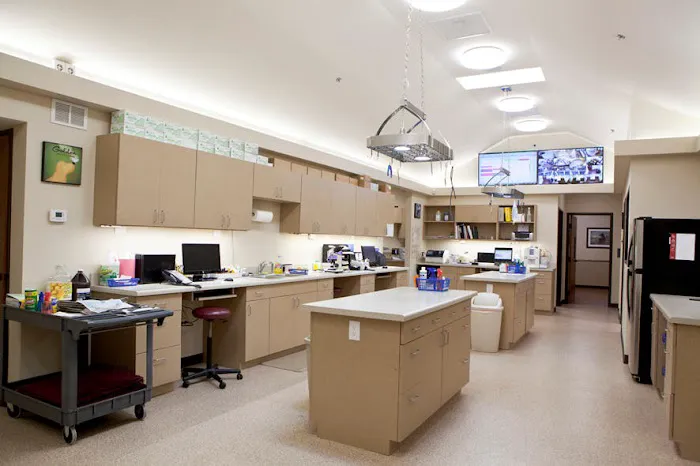 O'Connor Animal Hospital Picture 2