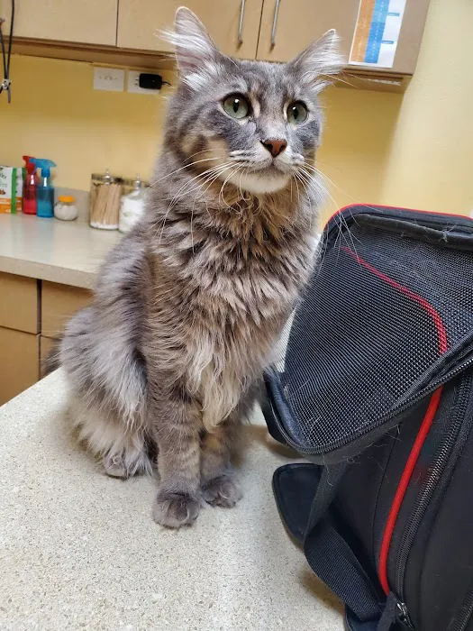 O'Connor Animal Hospital Picture 1