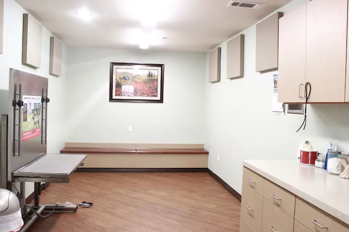 O'Connor Animal Hospital Picture 5