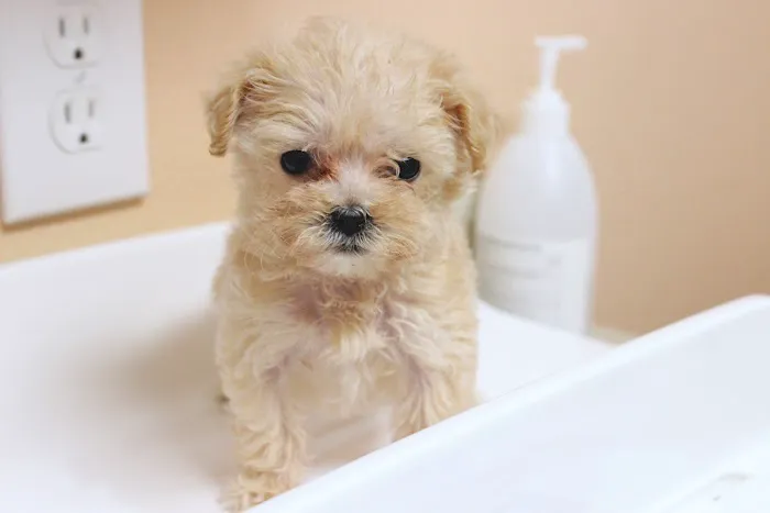 O'Connor Animal Hospital Picture 6