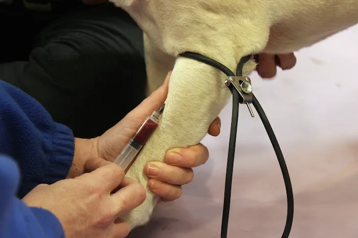 O'Connor Animal Hospital Picture 4